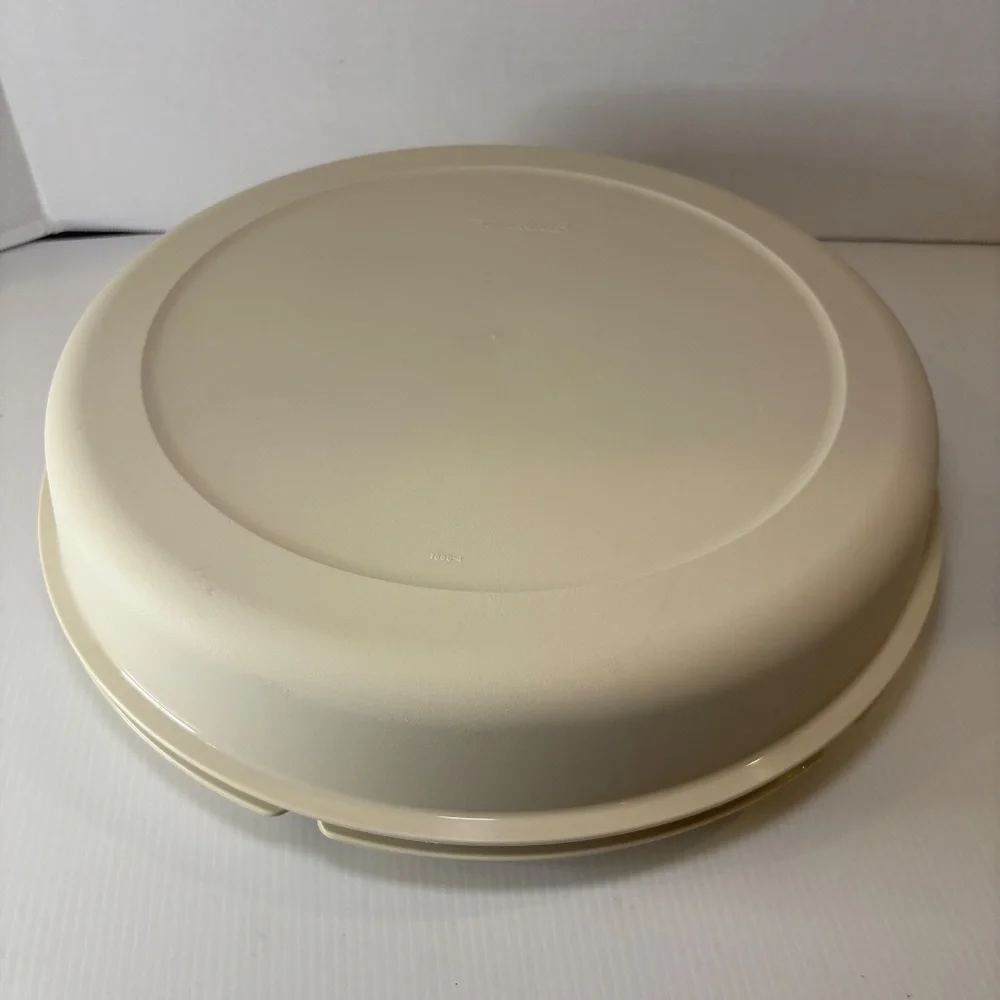 Vtg Tupperware Divided Veggie/Fruit/Dip Snack Party Tray 1665-5 With Lid 1666-4